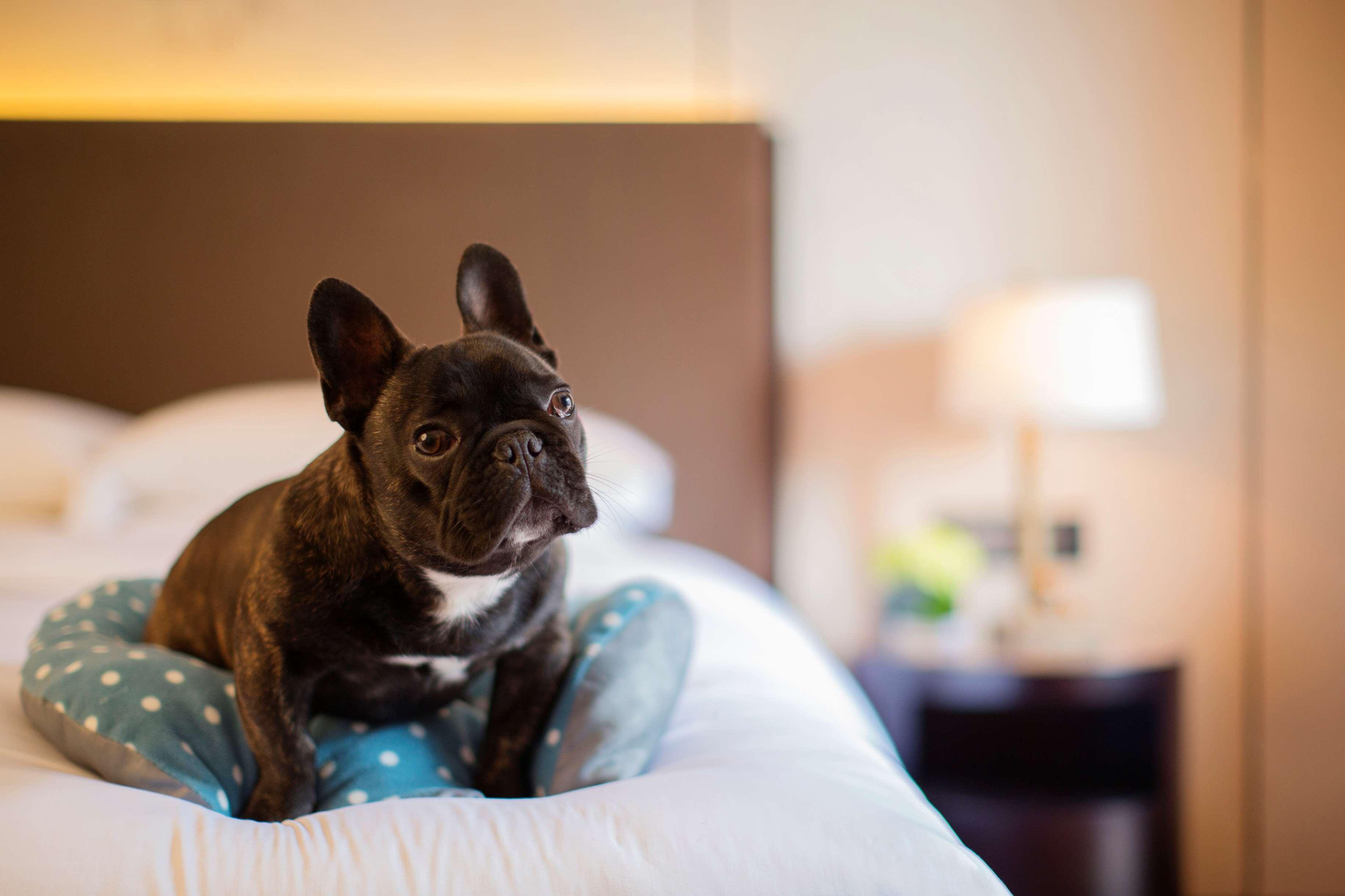Hyatt Regency Chongming Otel Dış mekan fotoğraf